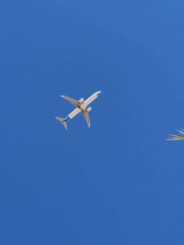 Cats and resort life at a sunny Sharm El Sheikh complex