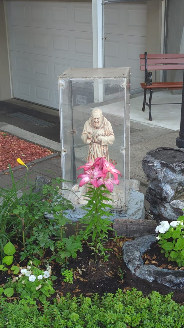 Saint Francis statue in plexiglass shrine, Montreal