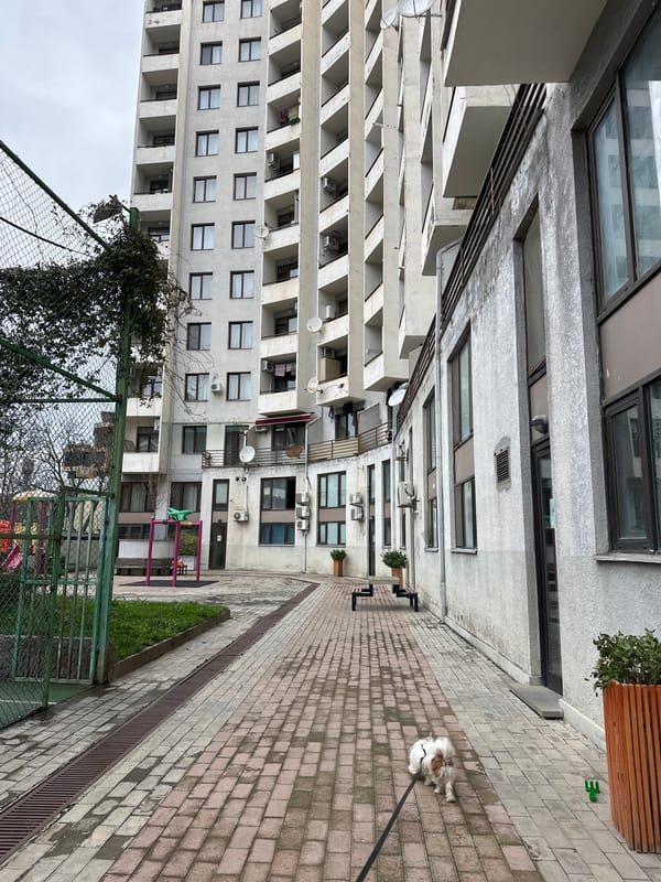 Morning scenes captured in residential Tbilisi neighborhood