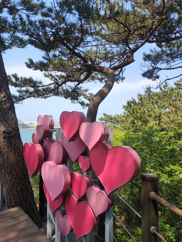 Solo observer documents diverse Ulsan coastal and cultural scenes