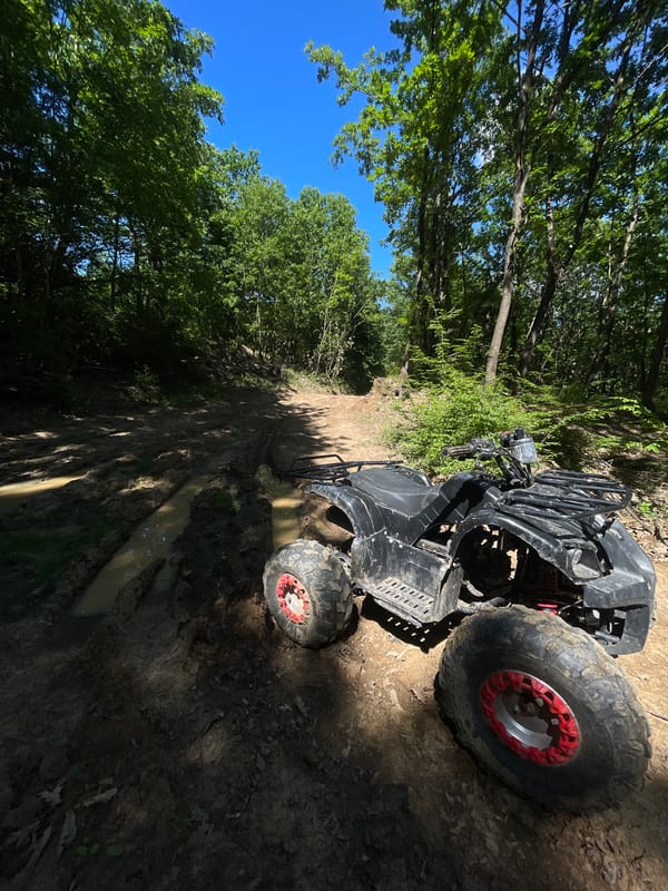 ATV trail ride through woods and cattle pastures