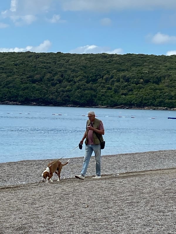 Morning recreational scenes captured along Prijevor Montenegro waterfront