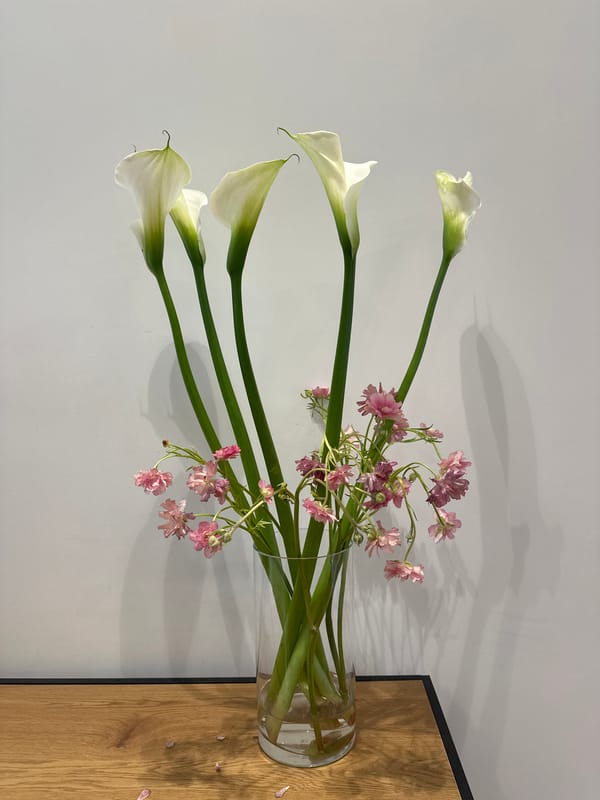 Morning scenes captured in Milan: flowers and urban wildlife