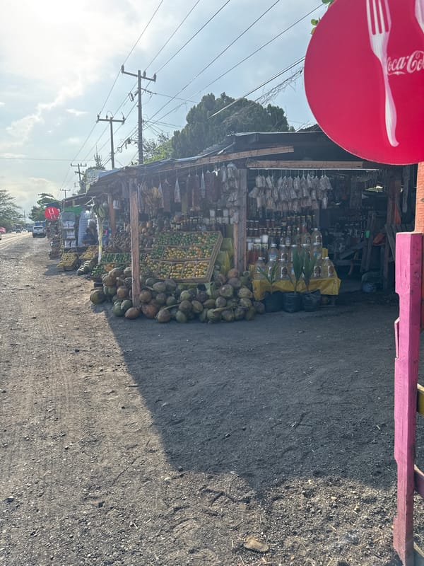 Roadside fruit stand documented in Puente Nacional, Mexico