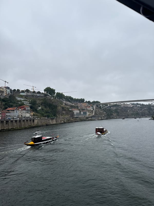 Porto and Gaia: river, bridge, cathedral, and metro on a cloudy afternoon