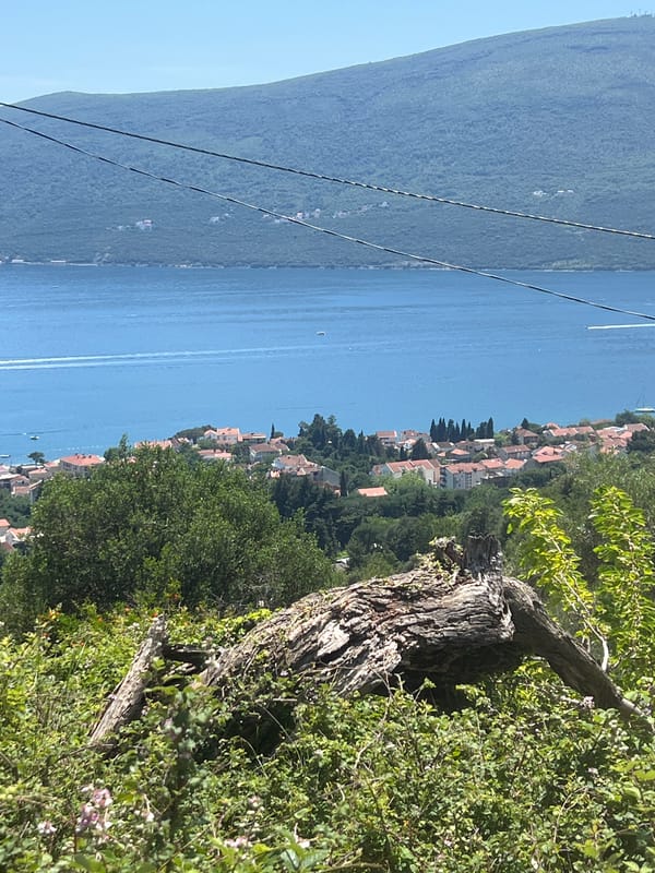Tourist documents scenic Bay of Kotor views from Baošići, Montenegro