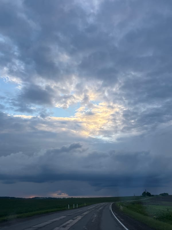 Wet rural road and green fields after rain, Krasnoyar