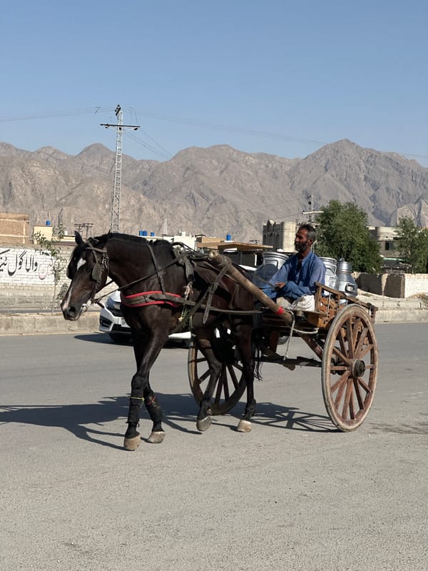 Horse-drawn cart travels asphalt road in Quetta, Pakistan
