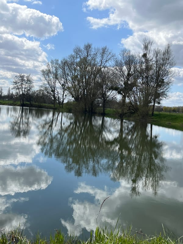 Couple enjoys afternoon fishing trip at Gavisse lake