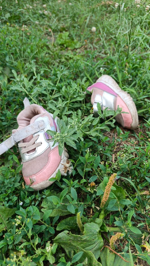 Scattered belongings and garden flowers at an outdoor stop