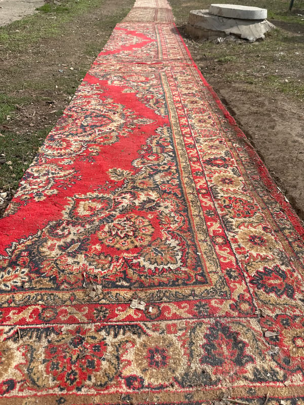 Patterned rug placed on ground in Engels, Russia