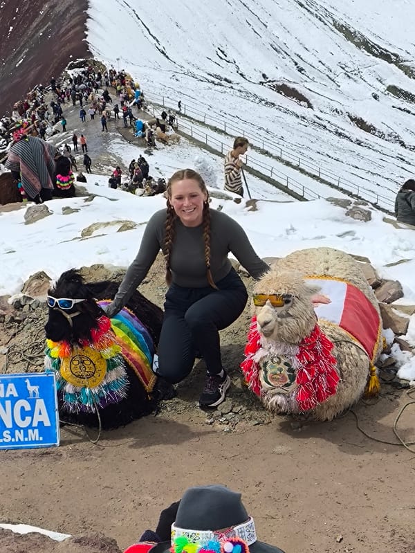 Tourists trek snowy Rainbow Mountain in Peru with decorated llamas