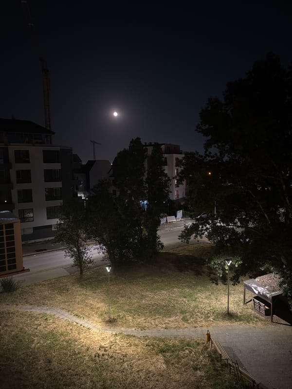 Full moon over Sofia construction site, plus a resting Cane Corso indoors