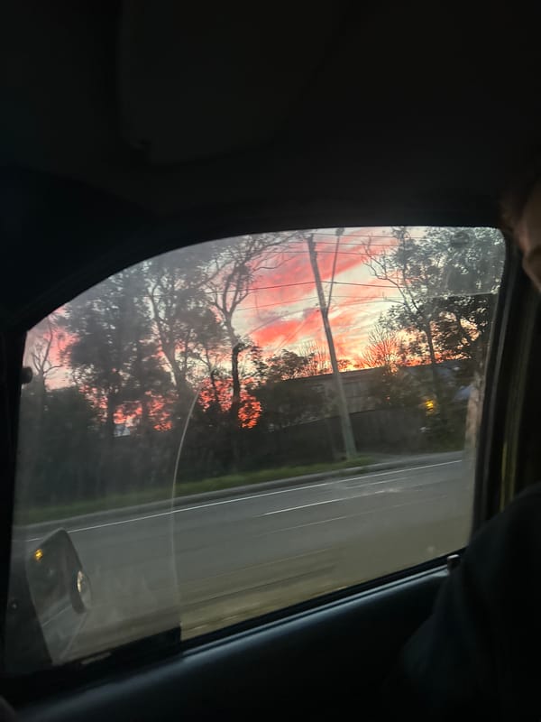 Sunset fades to dusk along a Hazelbrook road