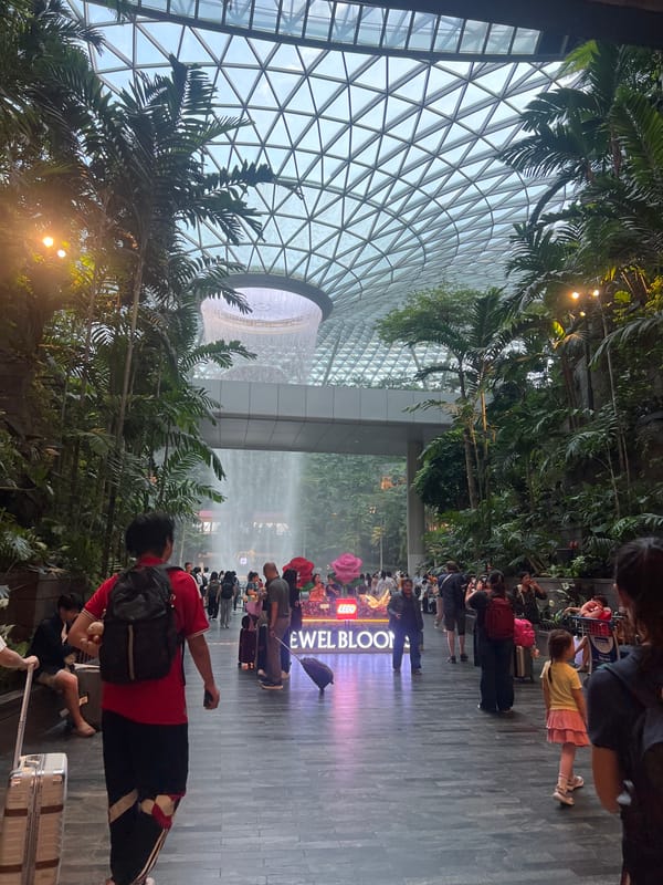 Morning scenes from Changi Airport's terminals and Jewel atrium