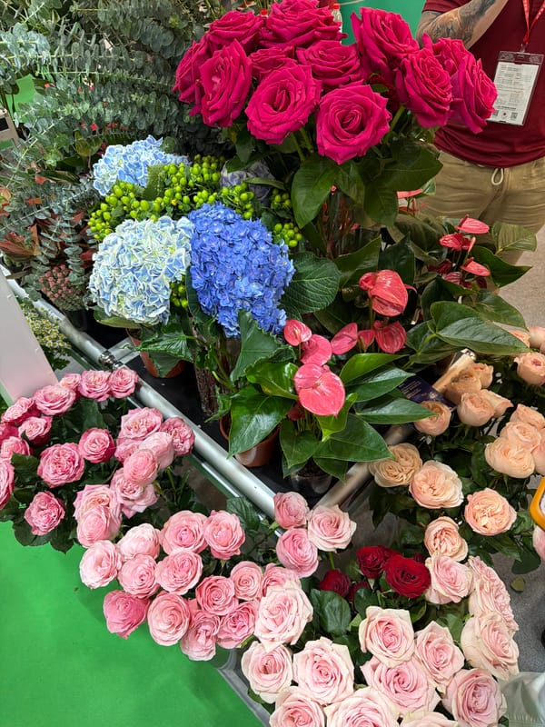 Early morning flower shop display documented in Haizhu District