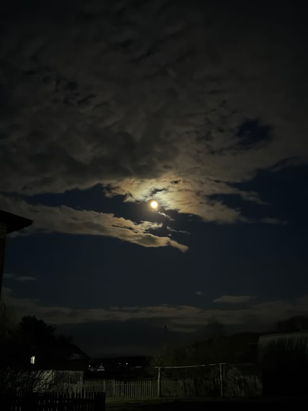 Moonlit evening documented in rural Rusalevka, Russia
