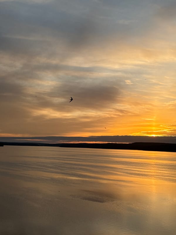 Sunset beer drinking session documented at Votkinsk Reservoir, Russia