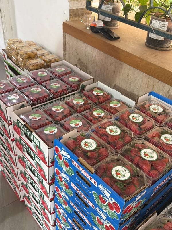 Fresh strawberries stocked at Bat Yam market facility