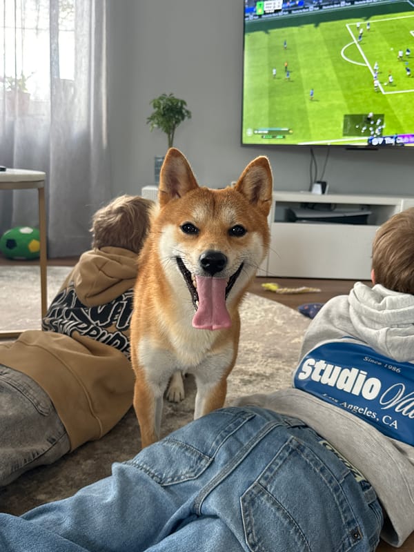 Quiet afternoon moments captured in Carnikava, Latvia