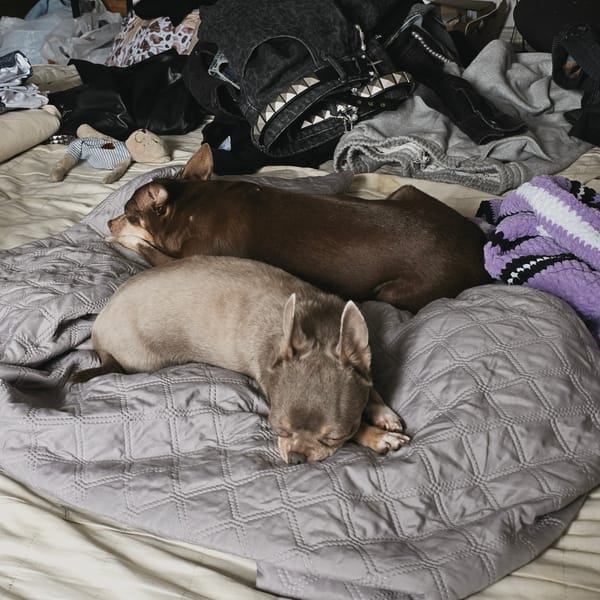 Messy bedroom scene documented in Saint Petersburg apartment