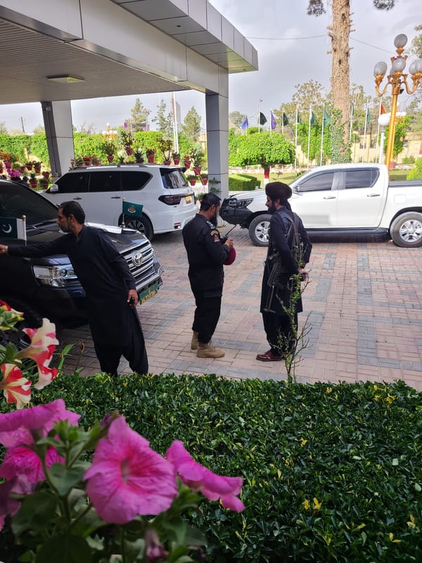 Spring flowers and street scenes documented in Quetta, Pakistan