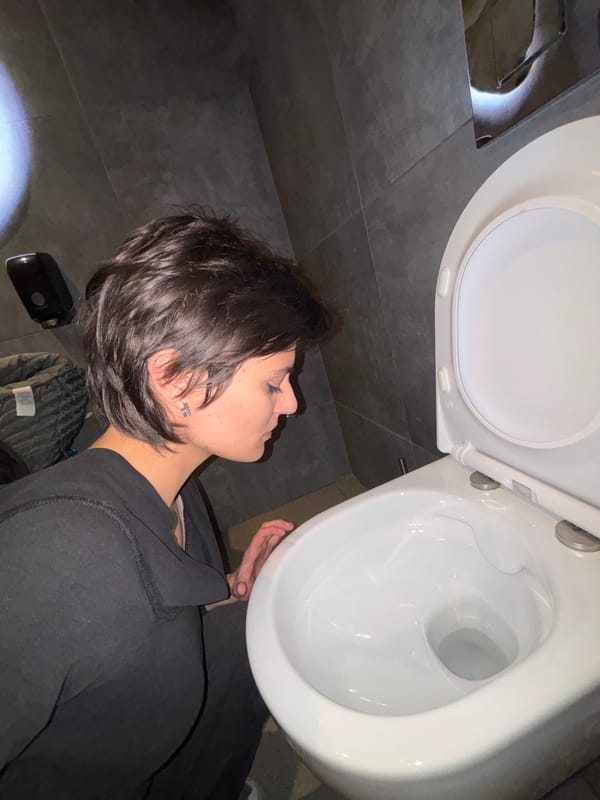 Person Takes Bathroom Selfies in Sofia