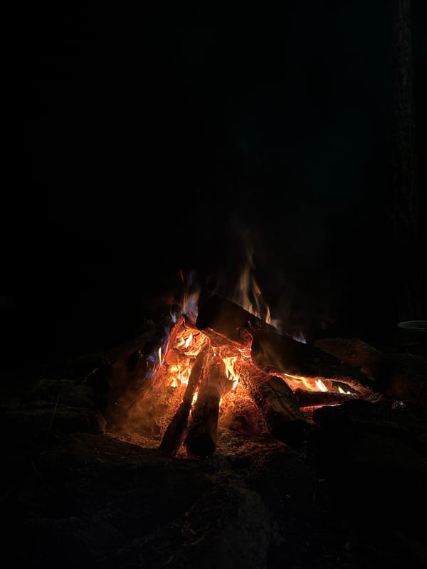 Fishing and campfire on a calm lake shoreline