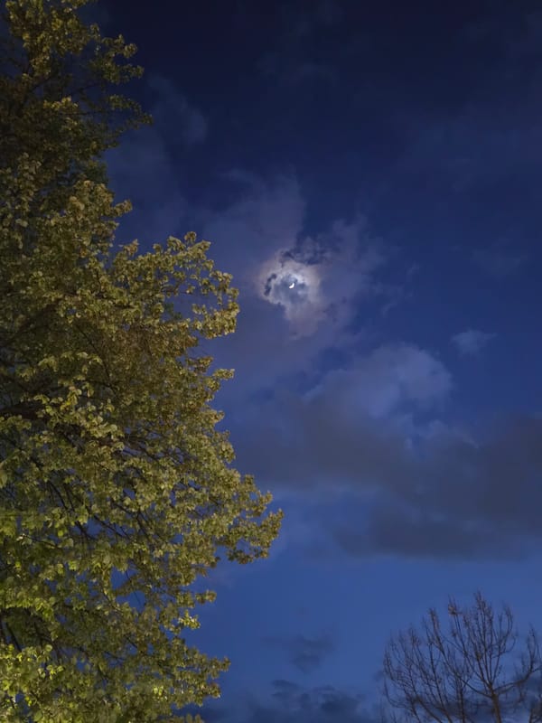 Evening sky and crescent moon observed in Pleven, Bulgaria
