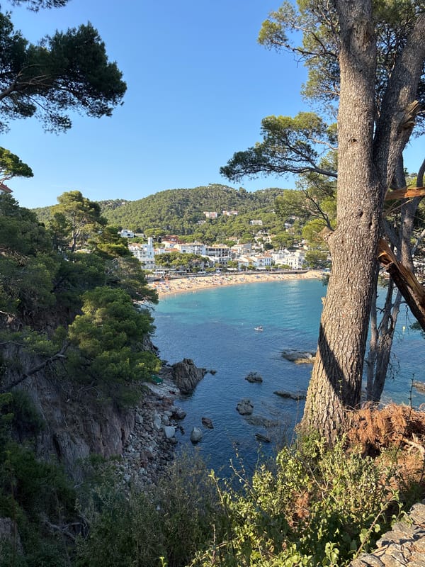 Elevated bay views along the Costa Brava near Llafranc