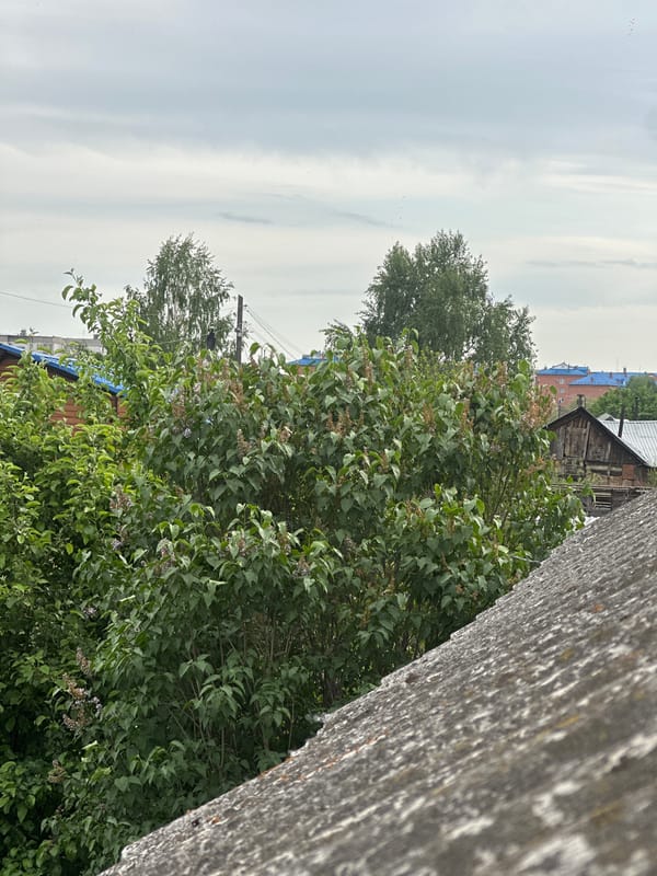 Ordinary moments documented in Biysk residential area over morning hours