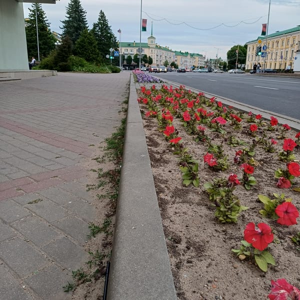 Afternoon street life documented across Baranavichy, Belarus