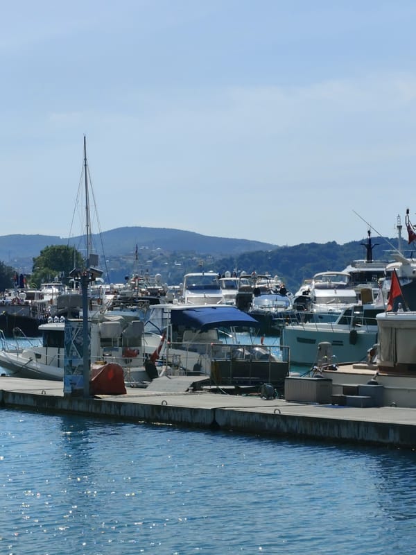 Morning marina activity captured in Sarıyer, Turkey