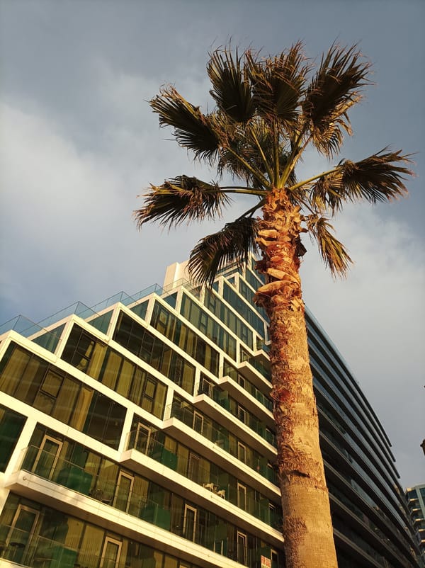 Urban palm trees and metal sculpture documented in Batumi