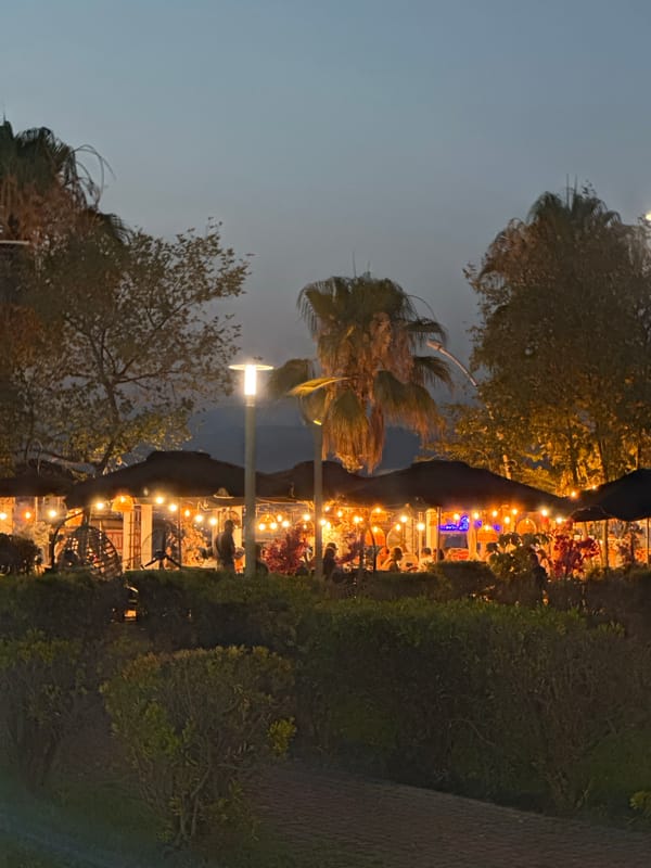 Fethiye at dusk: waterfront flags, fairy lights, and a street cat