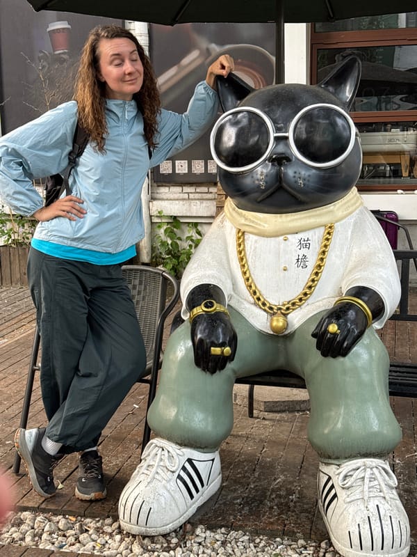 Eclectic statue collection spotted in Beijing's Chaoyang District