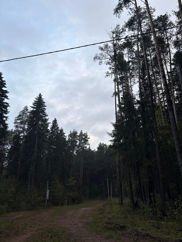 Dog walker strolls with corgi through Votkinsk forest paths