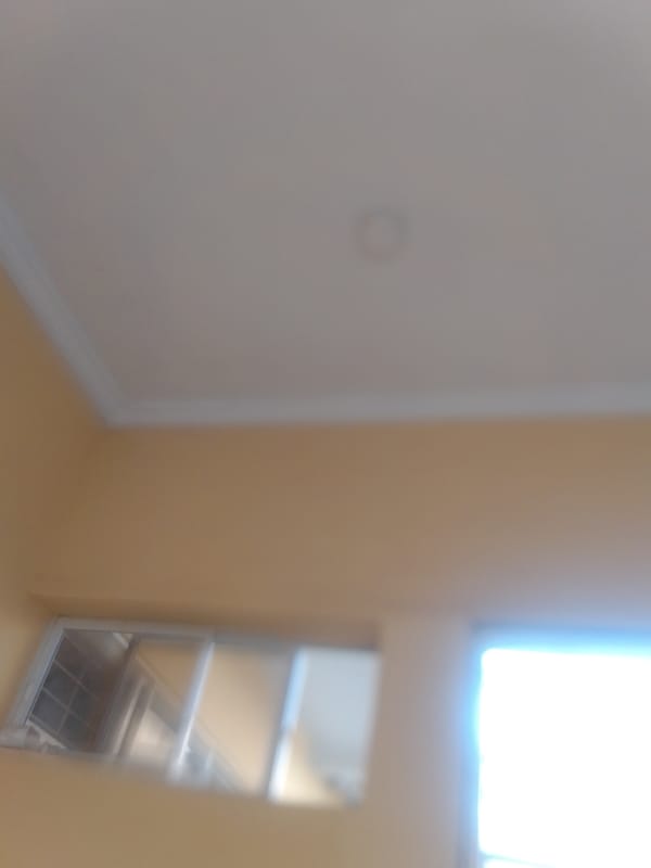 Indoor snapshots: hair, accessories, and room details