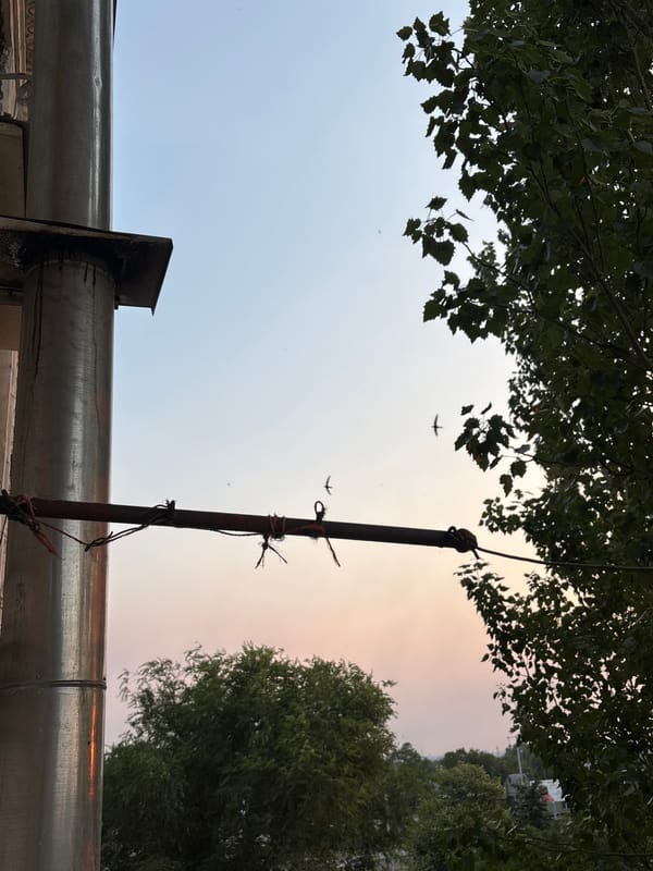 Sunset views and strawberries on a summer evening
