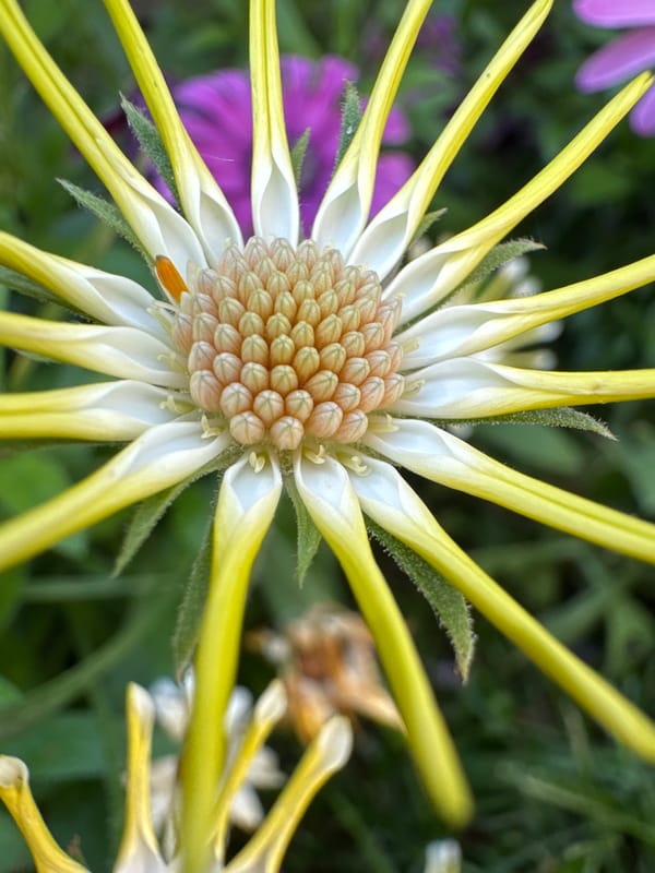 Spring wildlife documented in detailed photography session in Aprilia