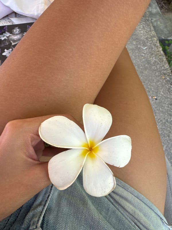 Person holds plumeria flower while sitting outdoors in Kathu