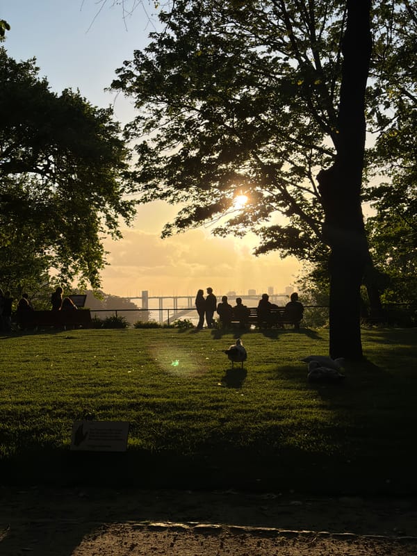 Golden hour scene captured at Porto park with Arrábida Bridge