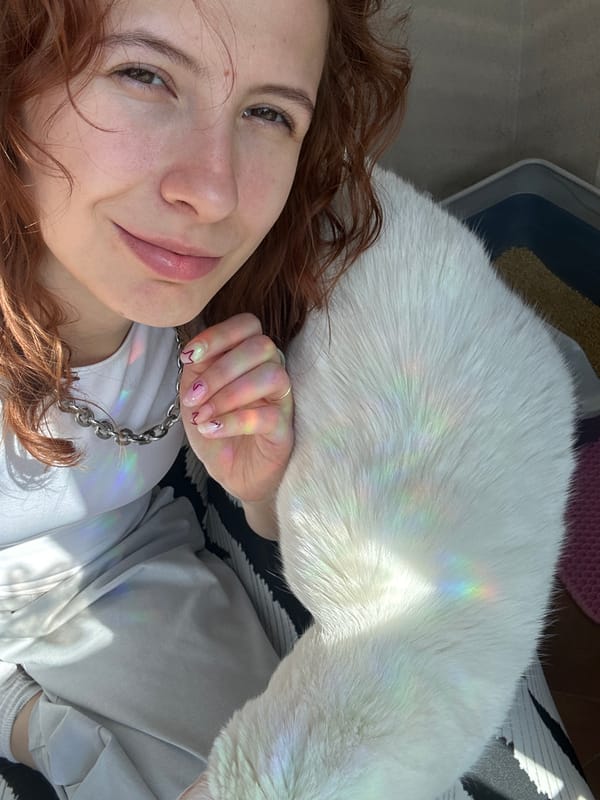 Everyday moments captured across Novi Sad including cat, pedestrians, panda costume