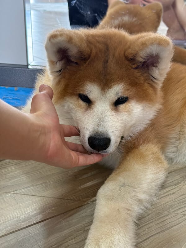 Woman photographs herself with puppy in Russian home