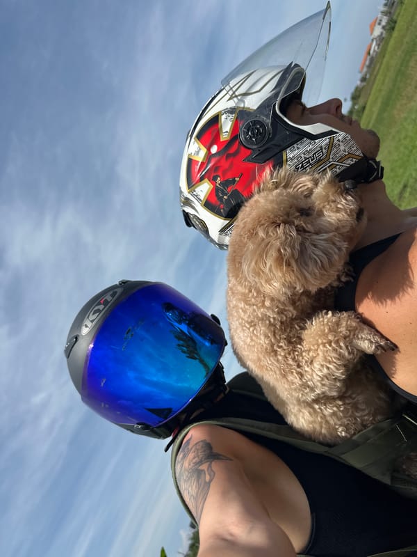 Motorcyclist rides with poodle passenger in North Kuta