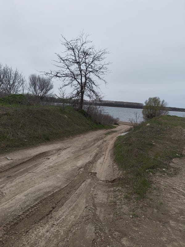 Everyday moments captured in Kozloduy, Bulgaria near Danube River