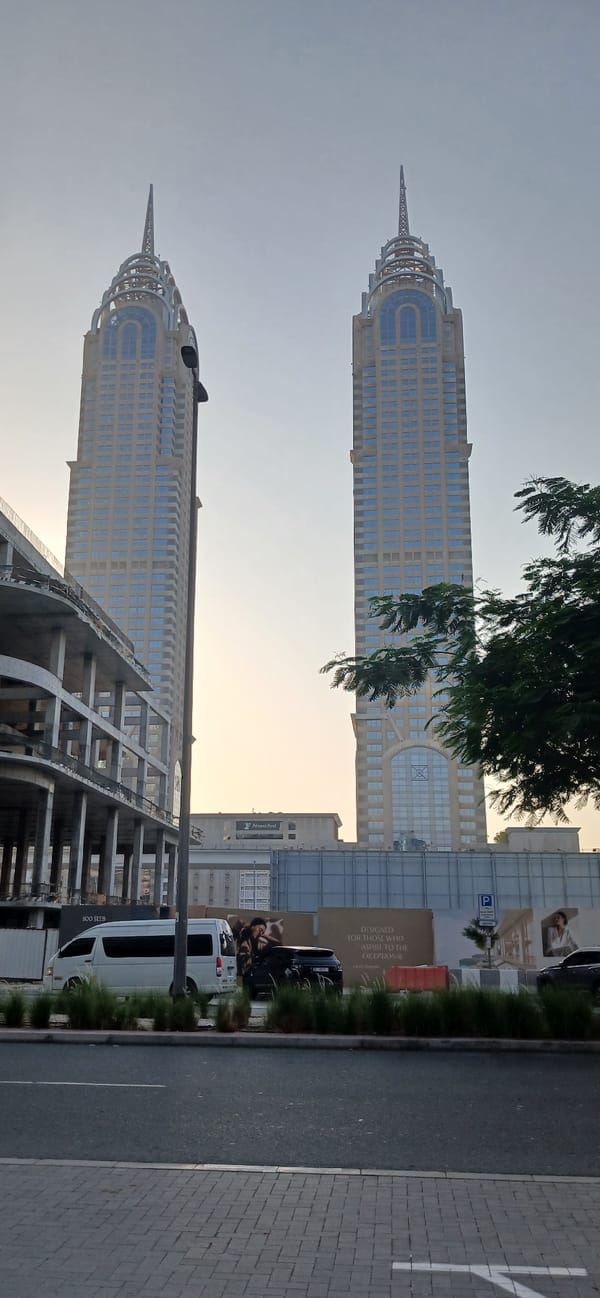 Dubai street life and grocery shopping afternoon with cats
