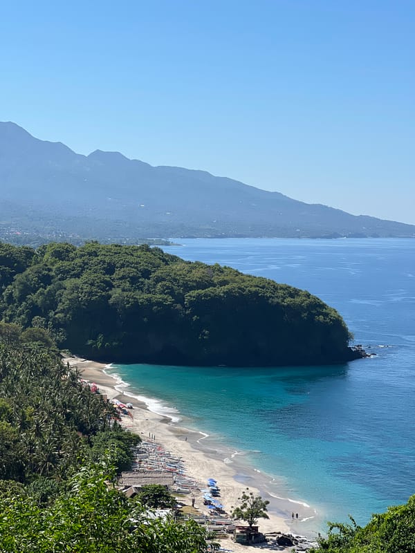 Hilltop views over Virgin Beach, Karangasem, with a roaming dog