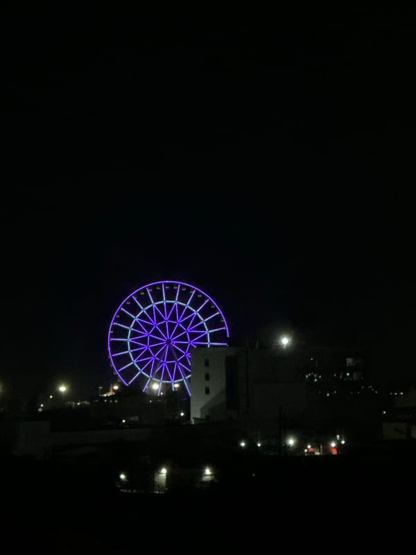 Illuminated Ferris wheel lights up Barranquilla's night skyline