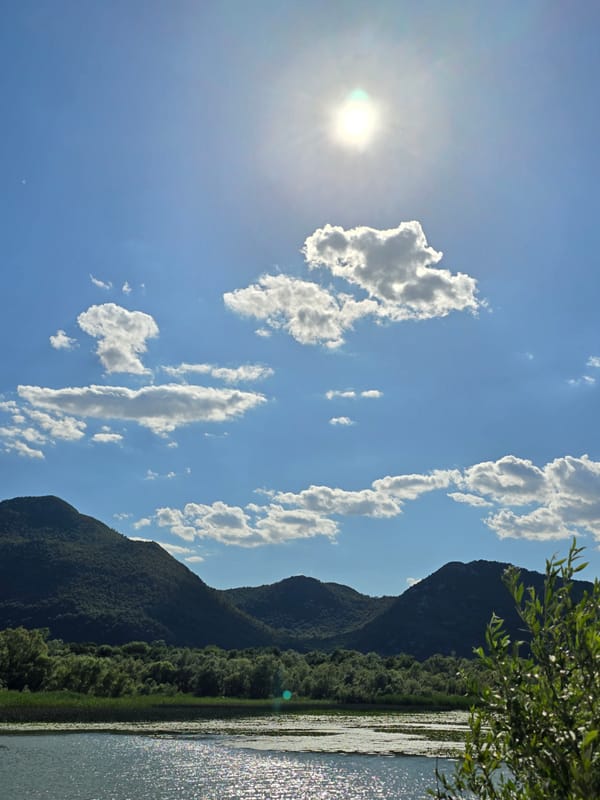 Afternoon on Skadar Lake, lily pads and mountain views